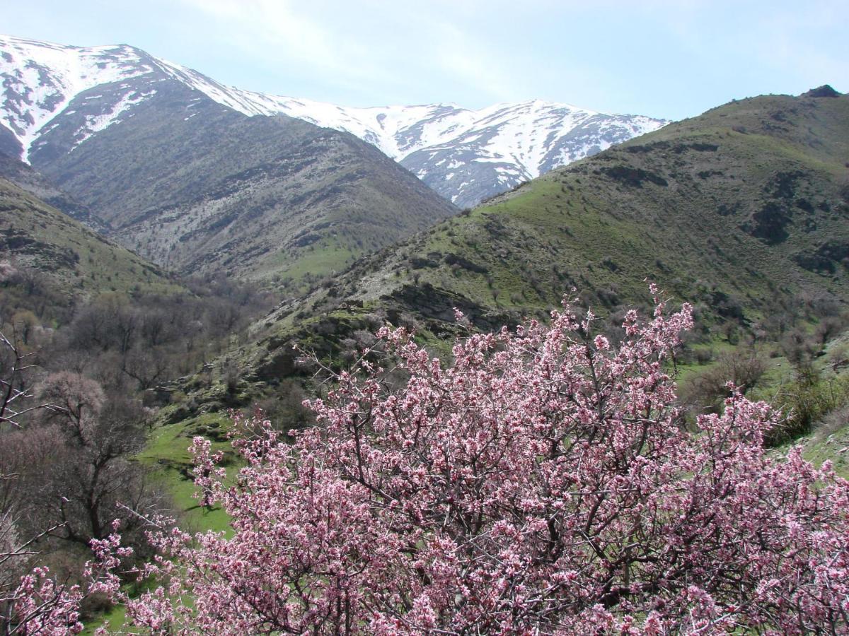 Hayat Guesthouse Nuratau Mountains Yukary-Ukhum Zewnętrze zdjęcie