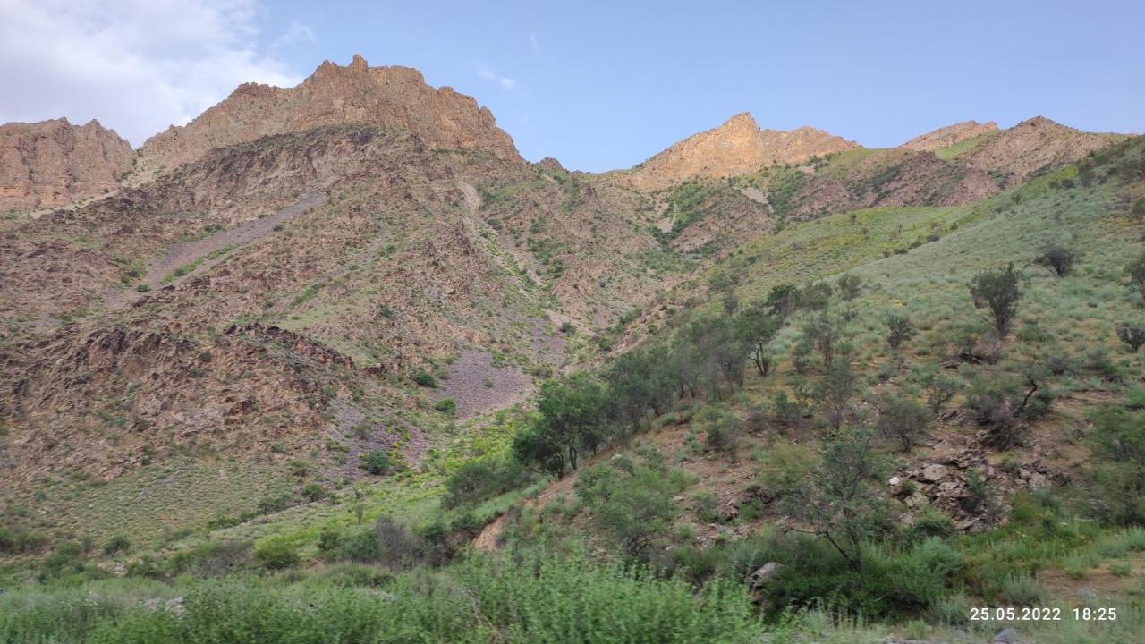 Hayat Guesthouse Nuratau Mountains Yukary-Ukhum Zewnętrze zdjęcie