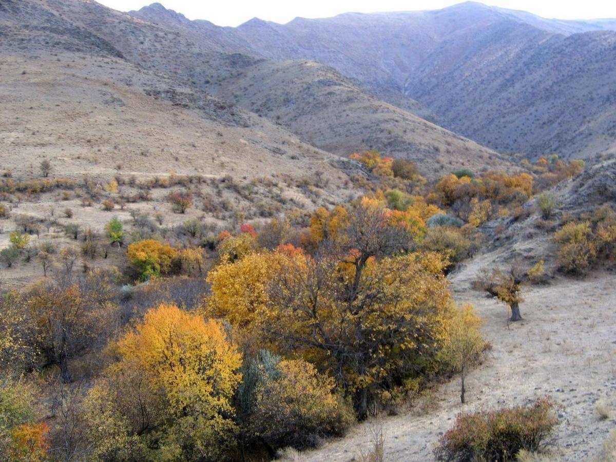 Hayat Guesthouse Nuratau Mountains Yukary-Ukhum Zewnętrze zdjęcie